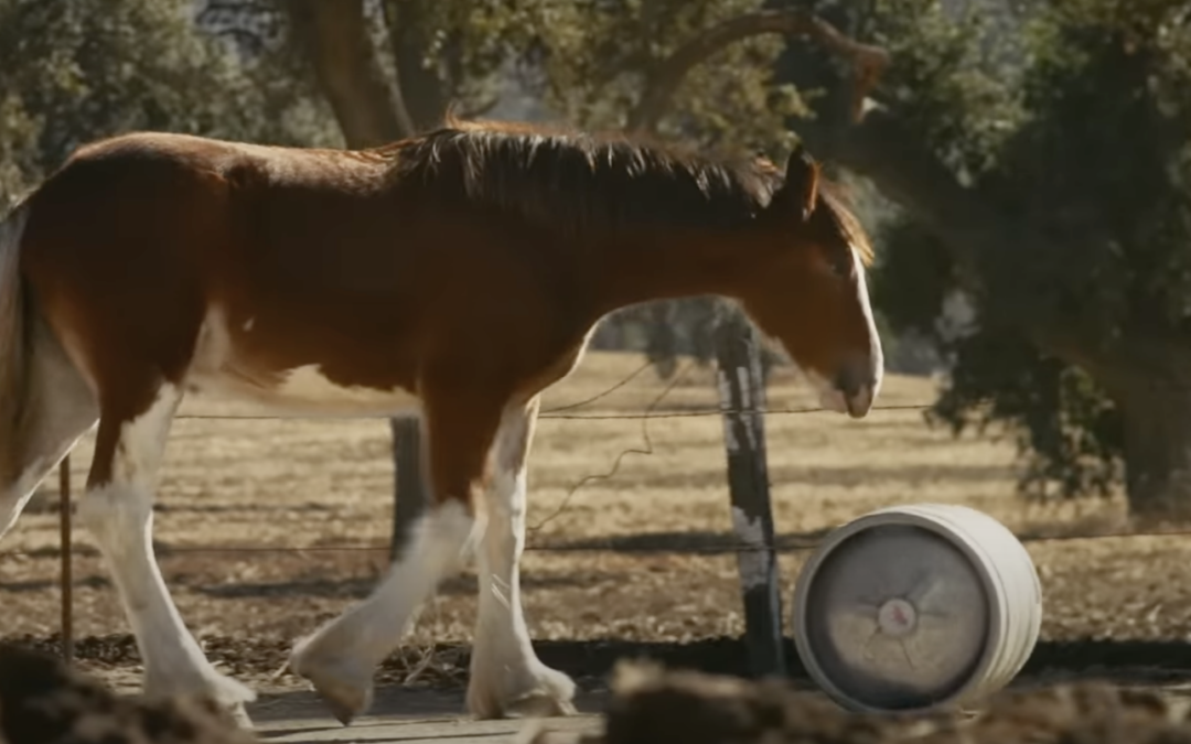 AdWatch: BUDWEISER | First Delivery